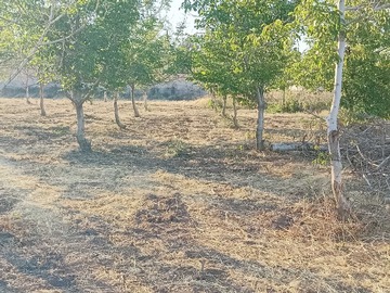 Venta / Terreno / Colina