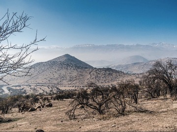 Venta / Terreno / Colina