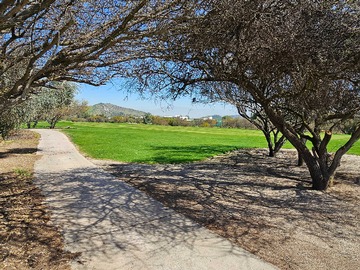 Venta / Terreno / Colina