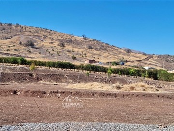 Imagen 6