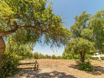 Venta / Terreno / Colina