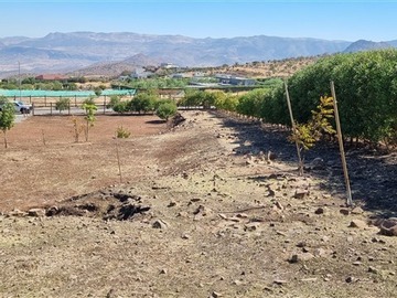 Imagen 7