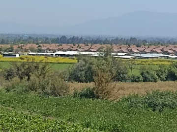 Venta / Terreno / Colina