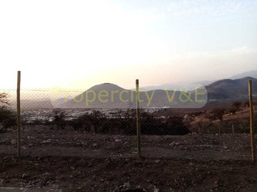 Imagen 12