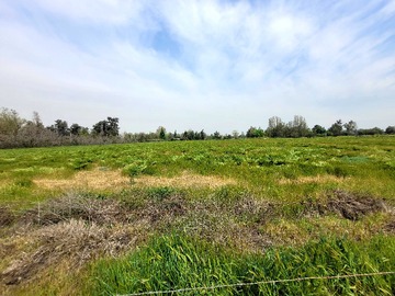 Venta / Terreno / Colina