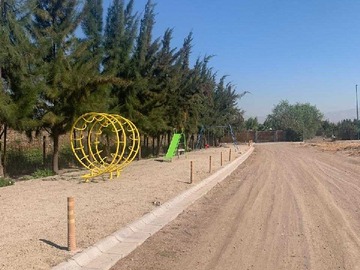 Imagen 6
