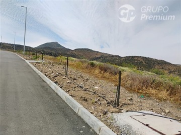 Imagen 22
