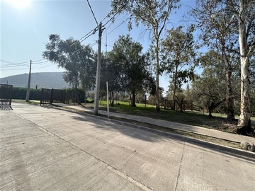 Imagen 5