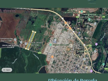 Imagen 7
