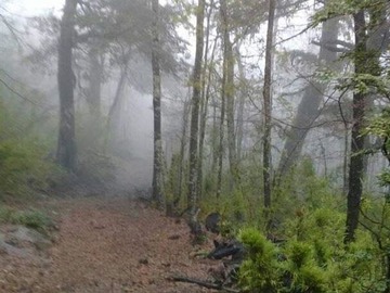 Imagen 5