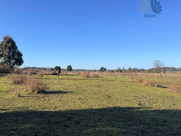 Venta / Terreno / Collipulli