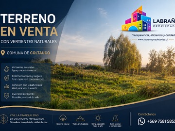 Venta / Terreno / Coltauco