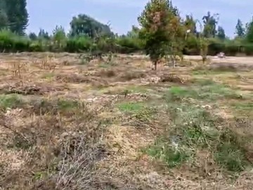 Imagen 9