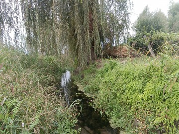 Venta / Terreno / Coltauco