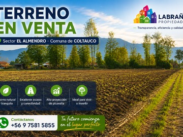 Coltauco, Almendro Image