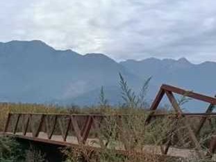 Imagen 15