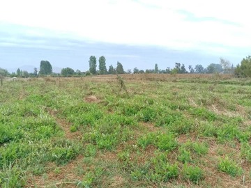 Venta / Terreno / Coltauco