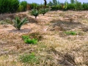 Venta / Terreno / Coltauco