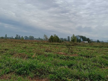 Venta / Terreno / Coltauco