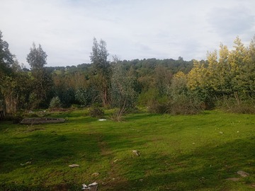 Venta / Terreno / Coltauco