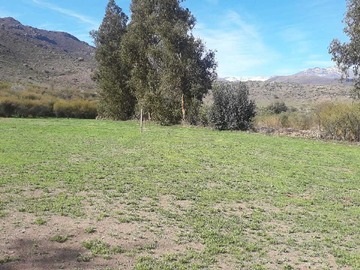 Imagen 6