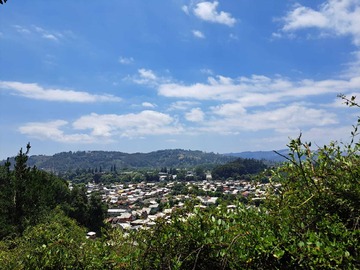 Venta / Terreno / Concepción