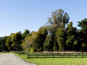 Venta / Terreno / Concepción