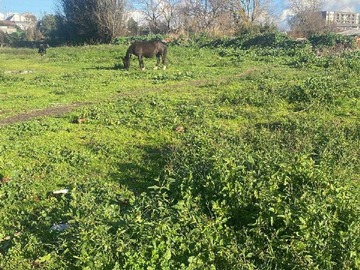 Venta / Terreno / Concepción