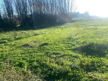 Venta / Terreno / Concepción