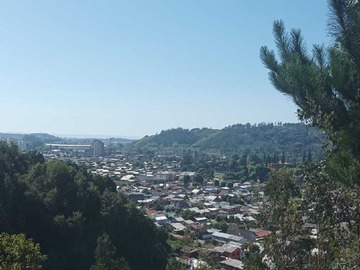 Venta / Terreno / Concepción