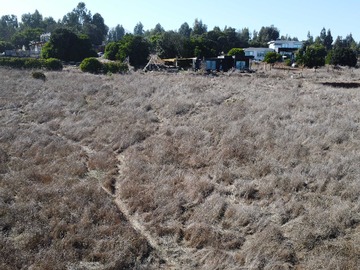 Imagen 7