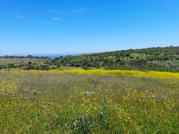 Venta / Terreno / Concón
