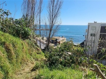 Imagen 5