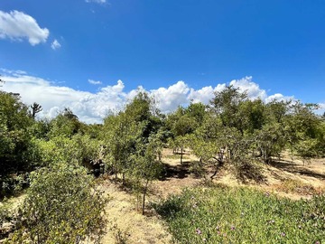 Venta / Terreno / Concón