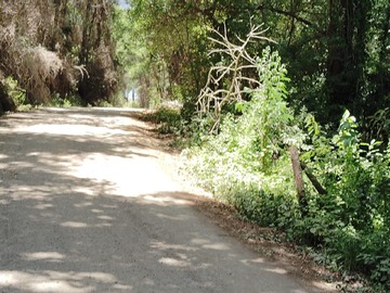 Imagen 4