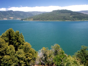 Imagen 10