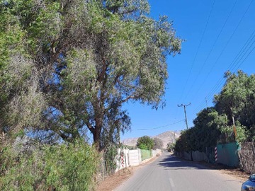 Venta / Terreno / Copiapó