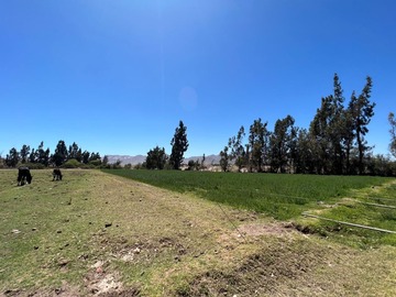 Venta / Terreno / Copiapó