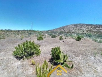 Imagen 8