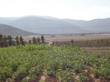 Imagen 7
