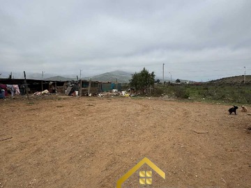 Imagen 7