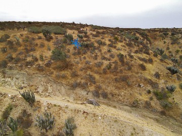Venta / Terreno / Coquimbo