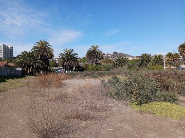 Venta / Terreno / Coquimbo