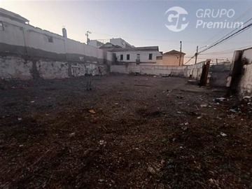Imagen 6