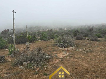Imagen 7