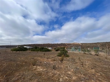 Imagen 9