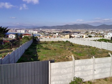 Imagen 10