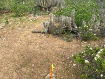 Venta / Terreno / Coquimbo