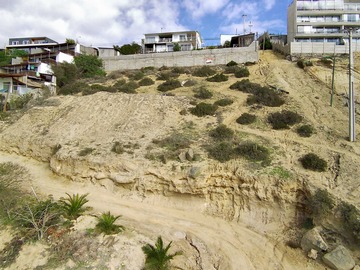 Venta / Terreno / Coquimbo