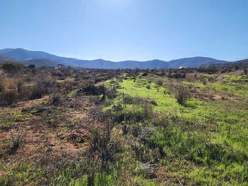 Venta / Terreno / Coquimbo
